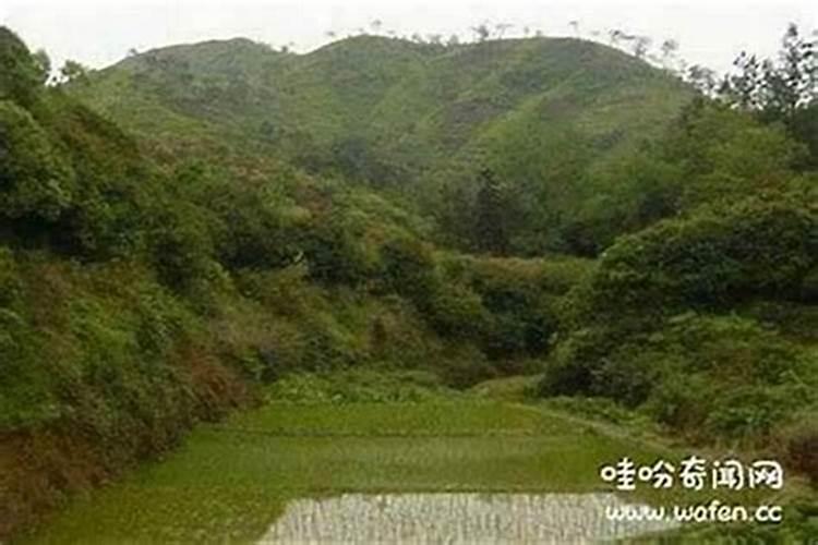 房屋拆迁中两户一宅怎么办