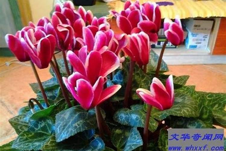 城市家具家具设计