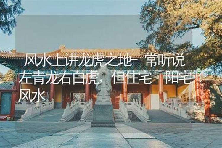 白虎抬头的住宅好不好