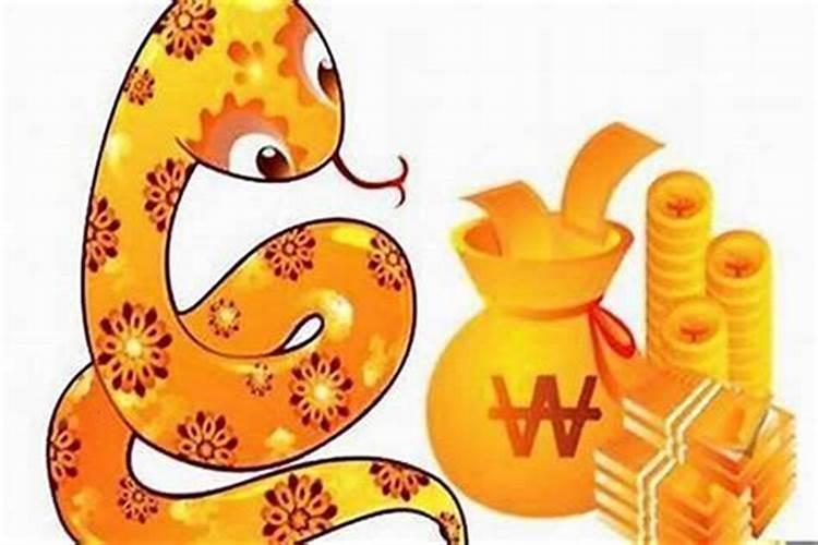 养什么蛇最好风水最旺