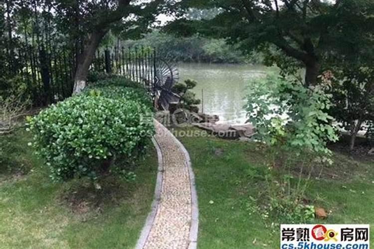 东园往事之一