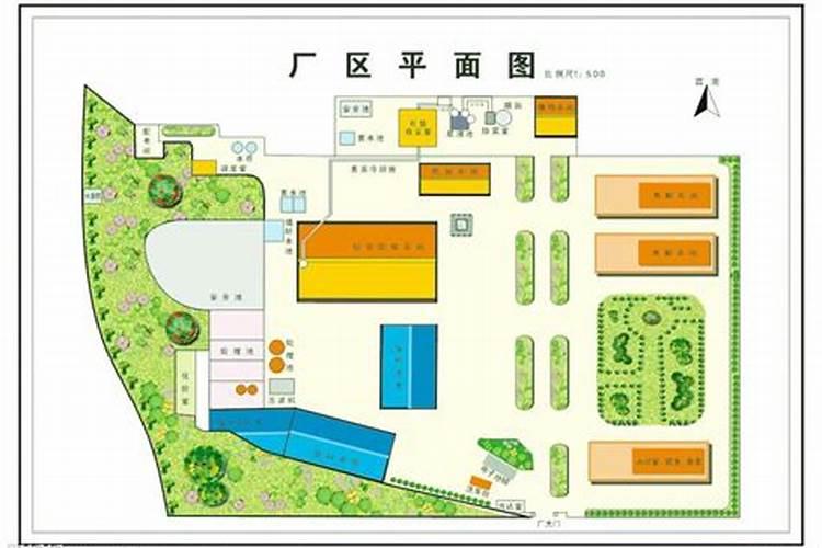 房子前面种什么树对风水好