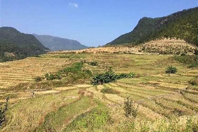 农村住宅前后种都是水稻按风水好么