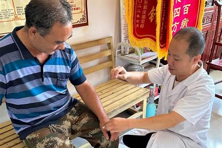 为什么说蜜蜂是家养的风水