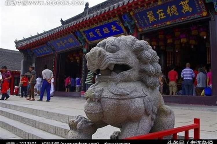 曝12生肖家居风水禁忌,玩偶鲜花家具招财免灾方位