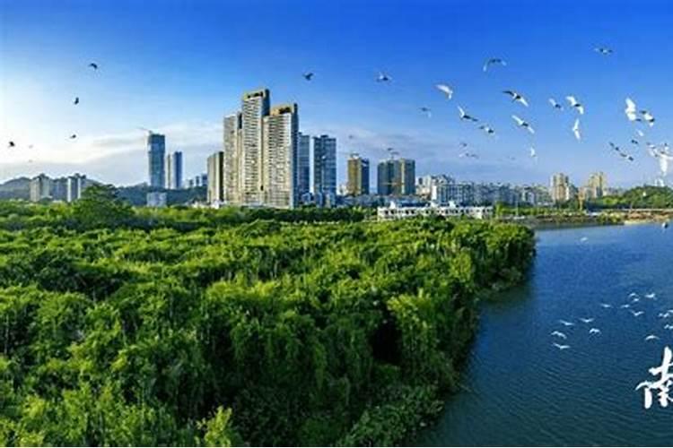 李双林讲解阴宅风水在同一宫阴阳能互兼吗