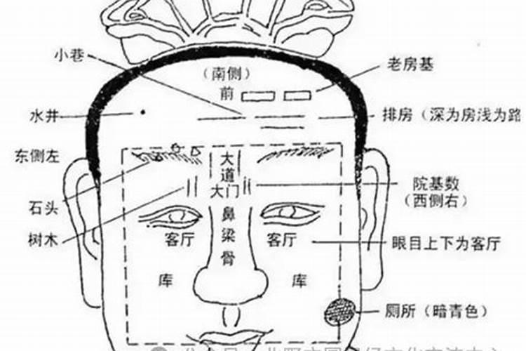 不可不知的面相风水学大揭秘