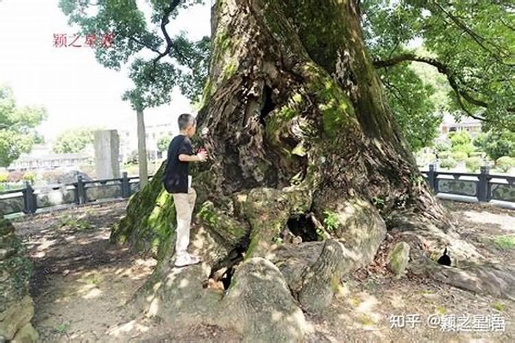 江西文化特色？
