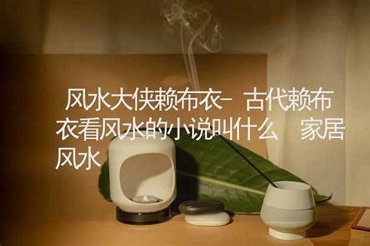 风水坟地有很多蚂蚁好吗？