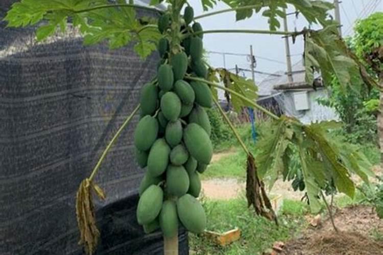 办公桌正对门旺财么 办公桌正对着门好吗