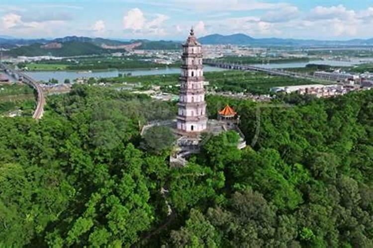 龙光塔地址在哪里？