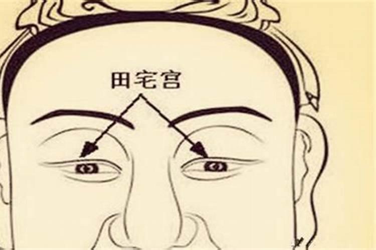 家中养鱼有什么风水学上的禁忌呢