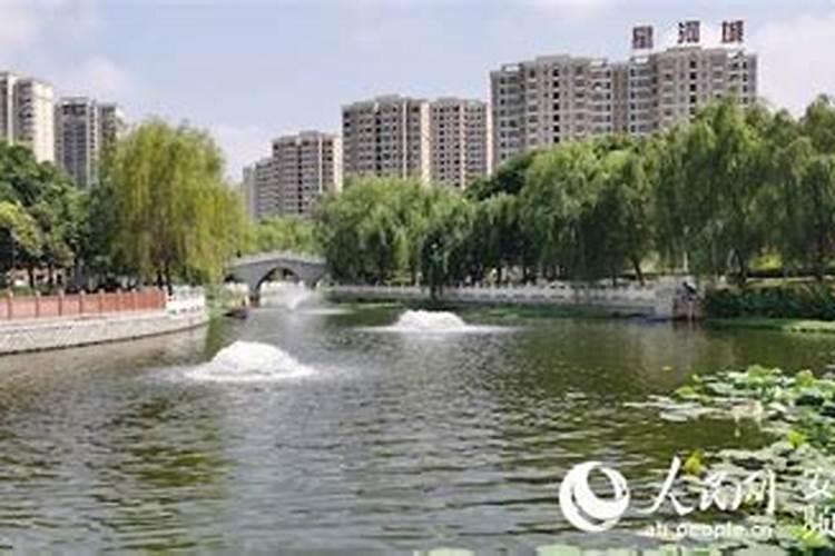 清水祖师崇拜文化