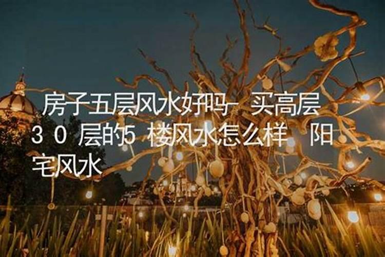 五楼的房子风水好不好,买房风水注意事项
