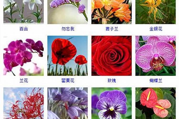 后天八卦口诀