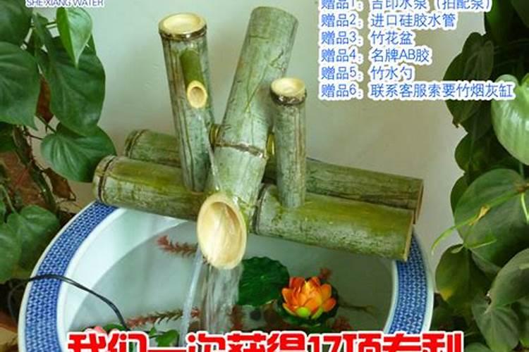 竹子的风水作用,家里养竹子风水上有什么讲究