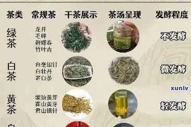 门前种山茶花好吗风水说法