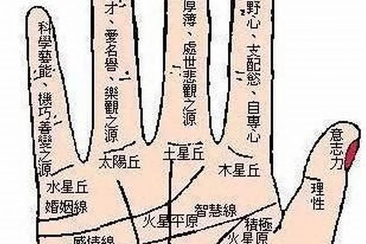 别墅门多少有为好