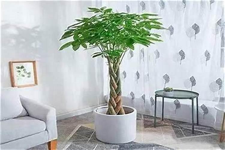 有比较出名的算命地方吗？