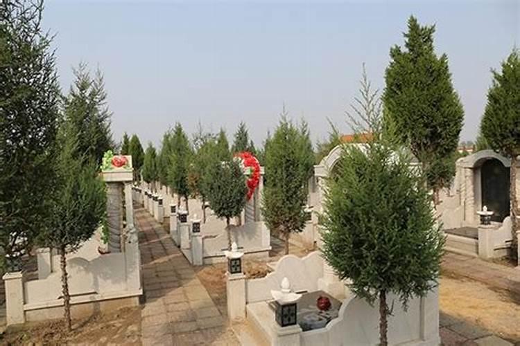 看墓地风水,看墓地风水小诀窍,看墓地风水大概多少钱？