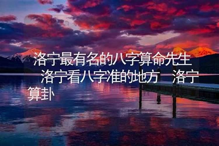 养龟有什么风水说法？