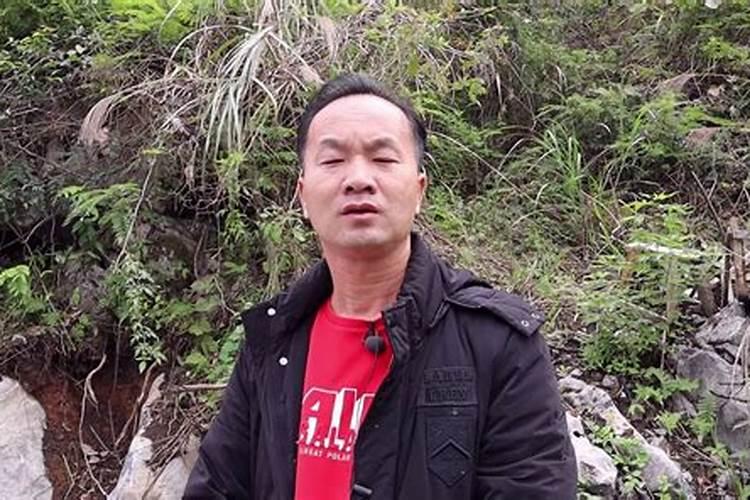 极品风水师的内容简介