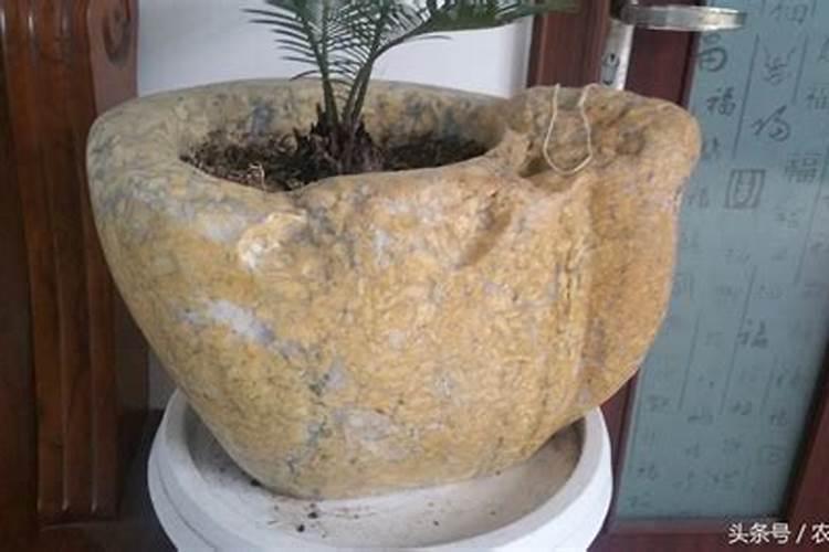 家里种什么石头最旺财运
