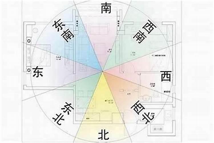 侯尚锫出生于哪里