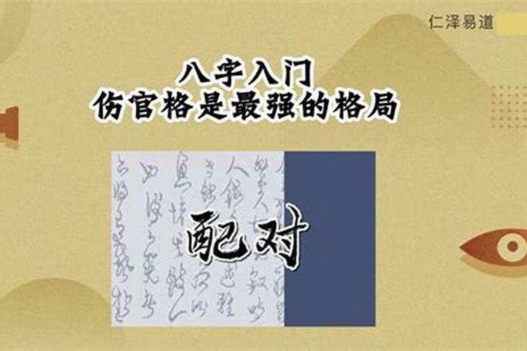 进行家里的大扫除该选用何种清洁工具