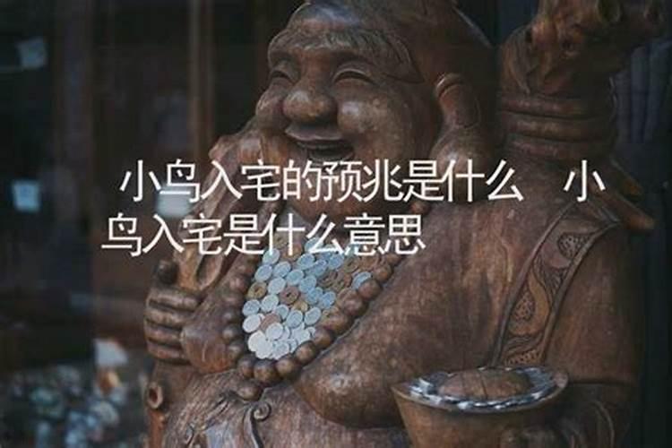 屋子北面种什么花最旺运