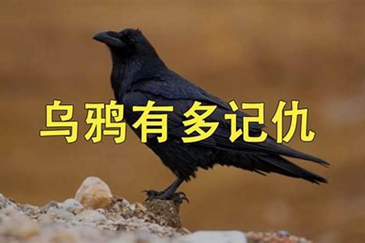 算命先生说:我是个坐办公室的人,该怎么理解？