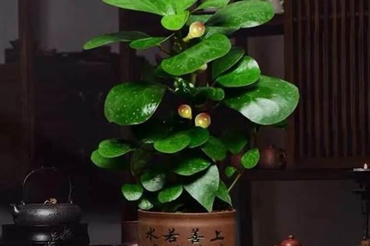 餐厅挂画有讲究吗？
