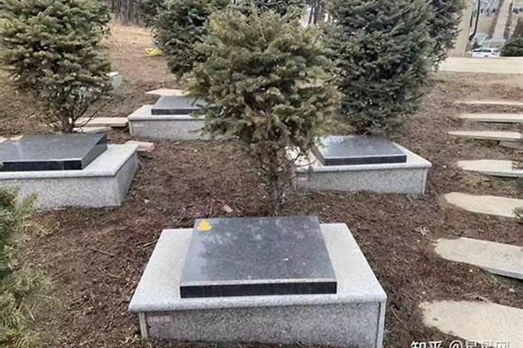 墓穴底下有水的风水 墓地下方有水沟