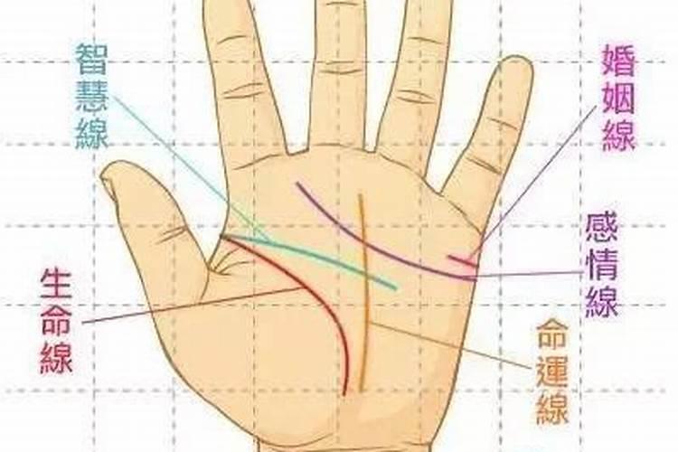 手相上可以看出祖坟风水吗