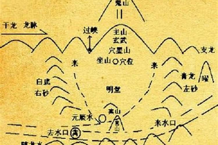 我第一次养狗养什么好？我家是别墅,想养个狗看家。也要比较好养的的...