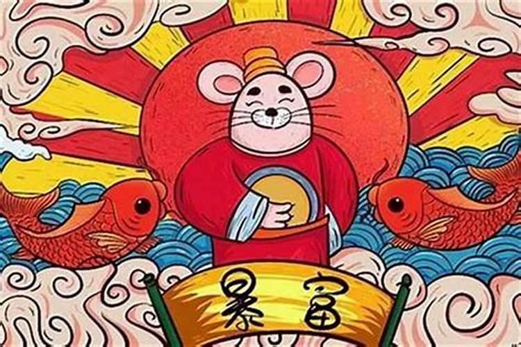 属鼠养什么最旺财运女人