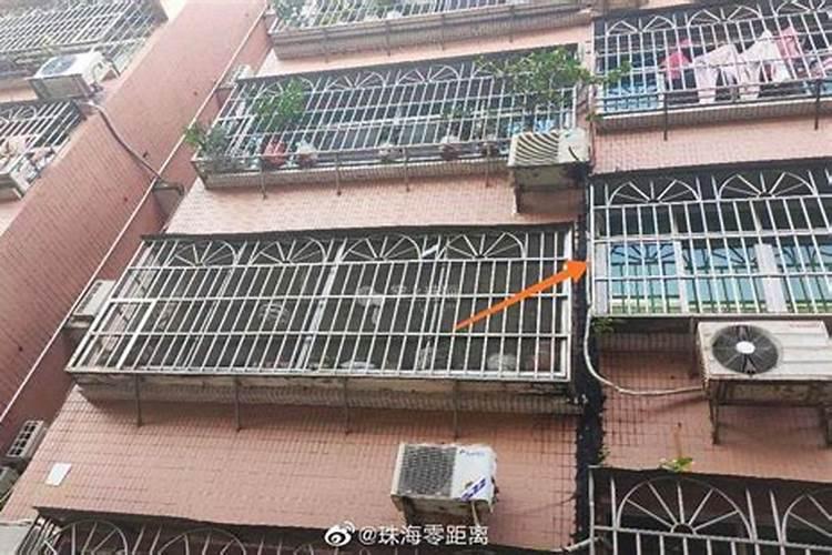 有蛇进屋必出贵人吗 有蛇进屋怎么办呢