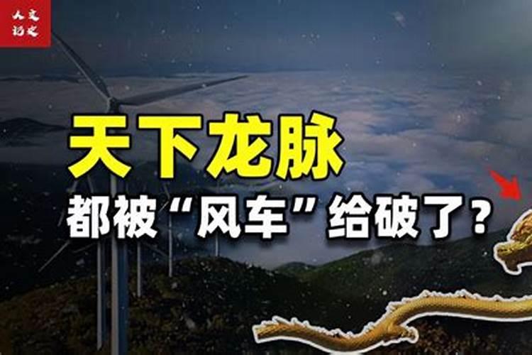 村里有几亩地,但工作有点忙,基本没时间打理,有没有什么建议,种什么好...