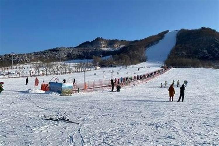 辽阳四姐算命在什么地方住