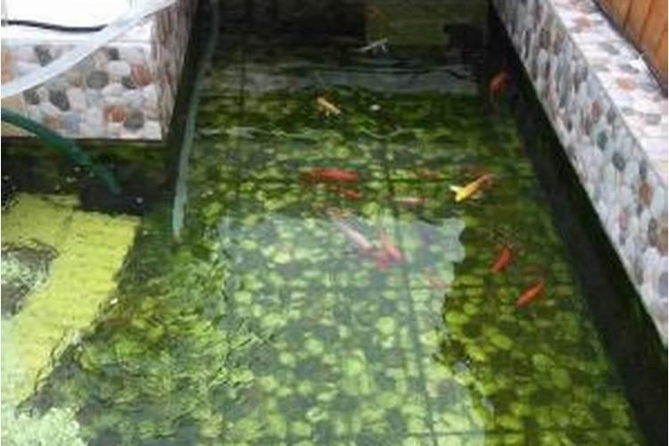 鱼塘填平建房子风水好不好？