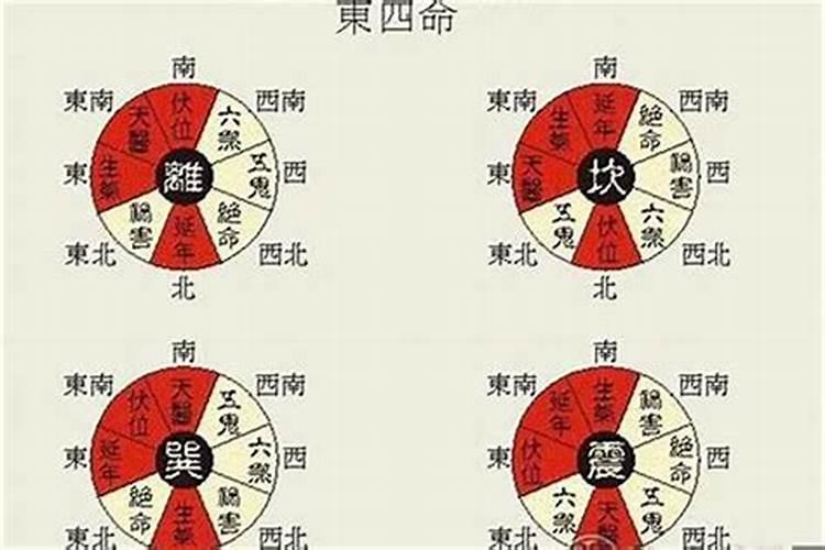 风水师看到有鬼的房子不敢进去吗