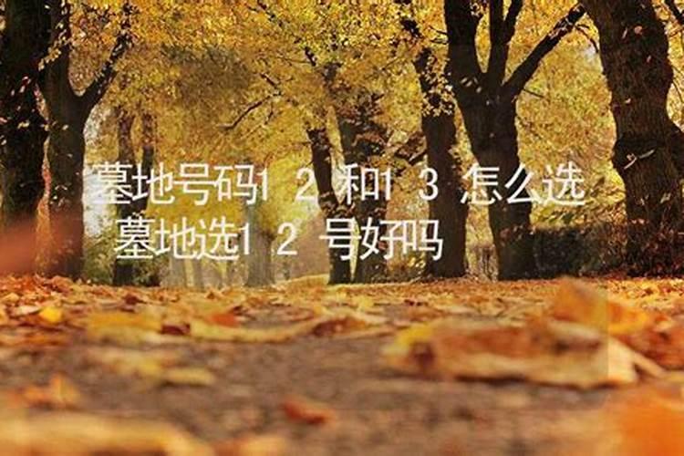 给去世的老人家抬灵屋要注意什么？