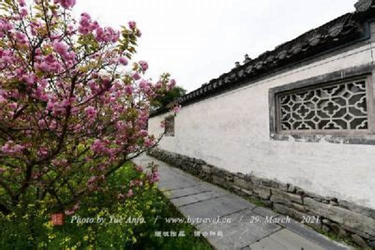 后王堤村位于哪个省哪个市