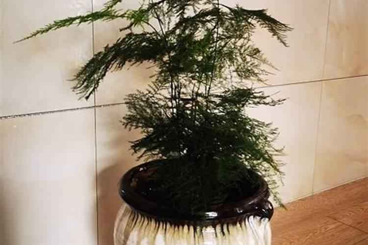 我西边邻居房比我的房又高又宽风水上好吗？