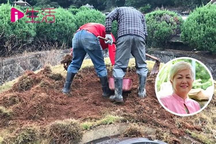 风水客厅放什么聚财辟邪
