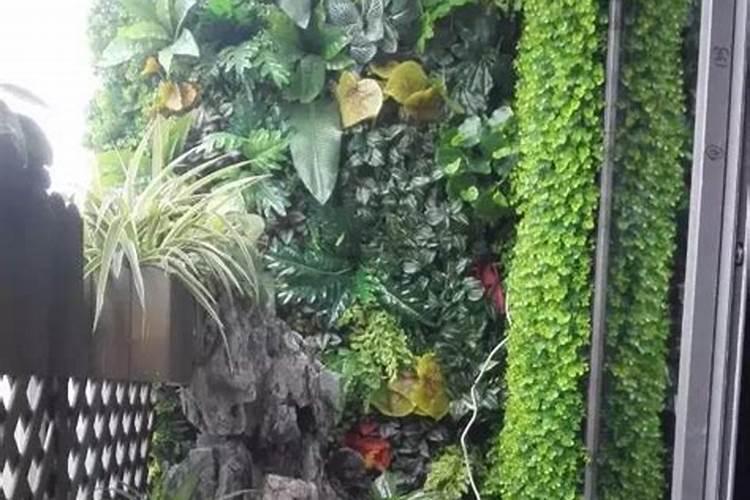 阳台鱼缸摆放讲究 阳台鱼缸摆放位置风水讲究