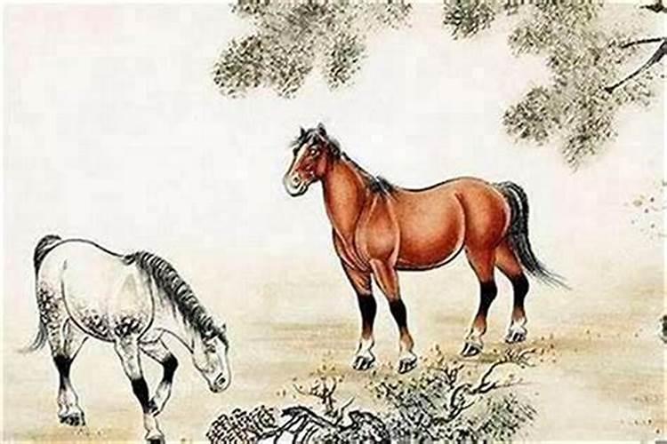 三圣佛佛堂可以仙家看事吗