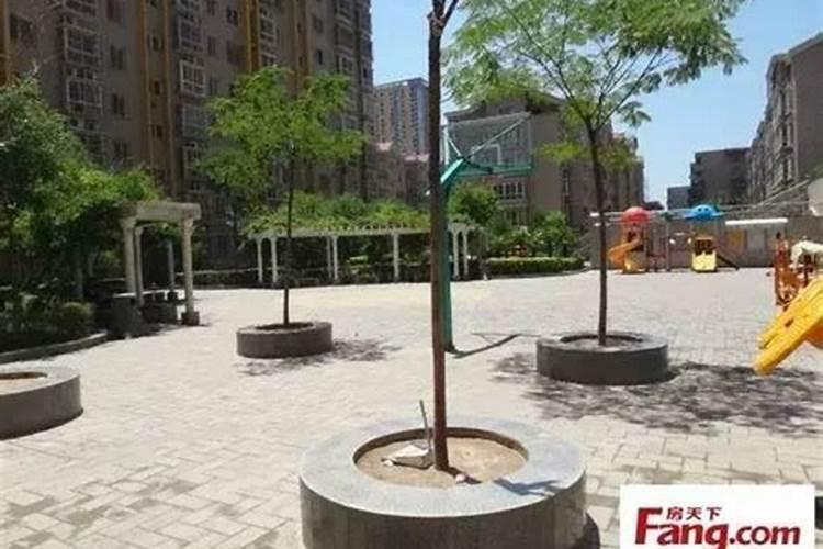 别墅庭院鱼池哪个位置风水好？