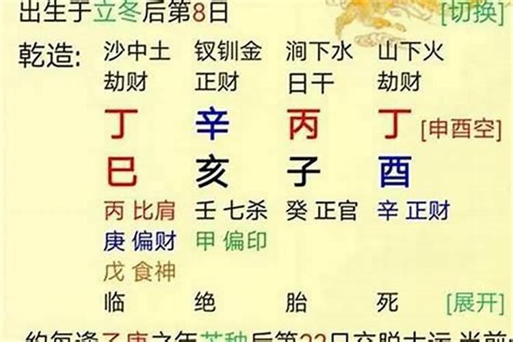 客厅过道摆什么植物