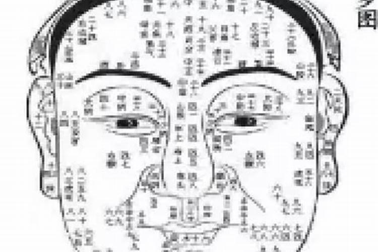 面相大师的排名,一看就不是常人的面相